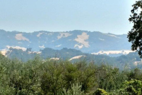 Mountains_cropped